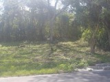 Mount Peasant, Westmoreland, Jamaica - Residential lot for Sale